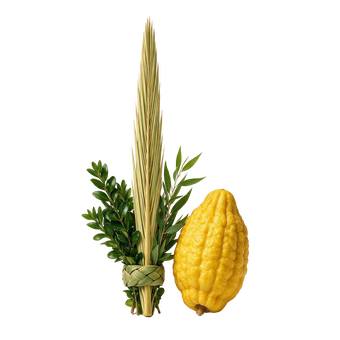 סט מהודר